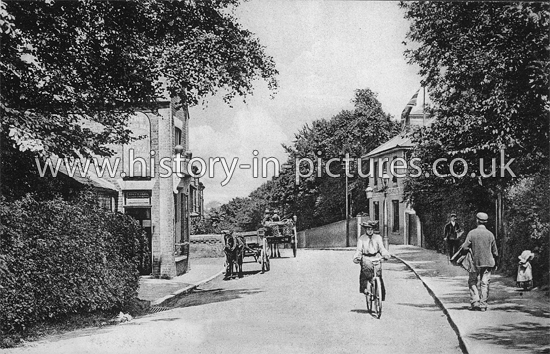 Warley Road, Brentwood, Essex. c.1908